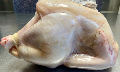 Suppenhuhn aus Freilandhaltung