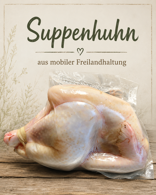Suppenhuhn aus Freilandhaltung